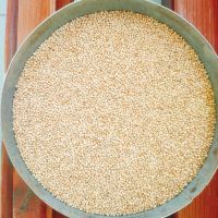 millet (creamy white, red)