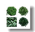 Spirulina