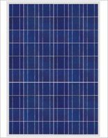 Solar Poly modules