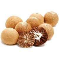 Betel Nuts with High Quality and Best Price