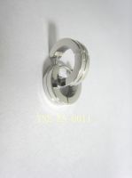 Stainless Steel Fashion Hoops & Huggie