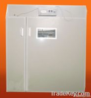 Best Selling Chicken  Egg Incubator EW