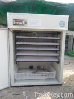 Chicken Egg Incubator YZITE-10 Marked