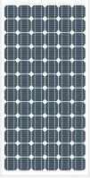 PV Solar Panel / Module - 300M