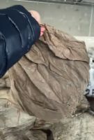 Dried salted omasum