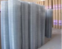 Stainless Steel Wire