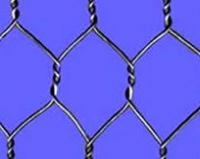 Hexagonal Wire Mesh