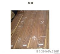 Taijin Veneer