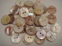 Seashell Buttons