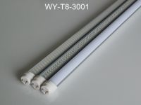 LED T8 Tube