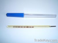 Clinical Thermometer (Oral, Rectal, Armpit