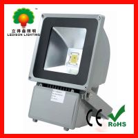 LED Flood Lights