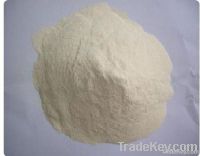 Vital Wheat Gluten min.82% protein