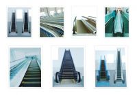 Escalator, Moving Sidewalk, Elevator, Lift