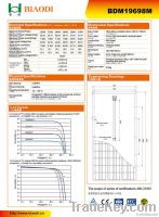PV module(BDM19698m), PV Panel, Solar Module, Solar Panel