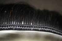 horse hair wefts