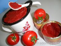 Tomato Paste