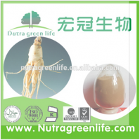 Panax Ginseng Extract