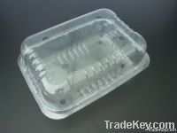 plastic fruit container