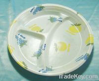 plastic tray