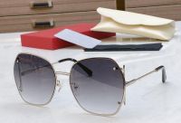 New Sunglasses Women Fashion Oversized Sunglass