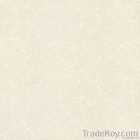 polished porcelain tile