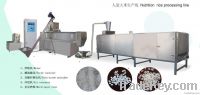 Artificial Rice Processing Line