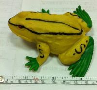 Other Toys Hobbies Stress  Frog