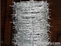 Razor wire