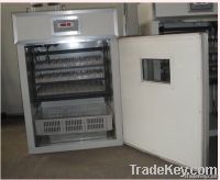 chicken egg incubator