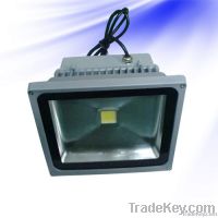 LED Flood Light