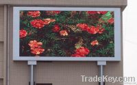 Video Display Screen
