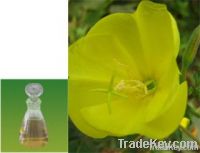 Evening primrose oil