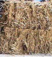 Hay; Boma Rhodes Grass, Wheat Straws, Barley Straws, Baler Twines