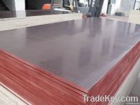 shuttering plywood