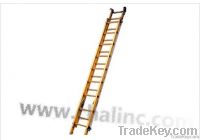 Aluminum Ladder