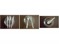 Disposable Cutlery Mould