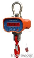 overhead crane scale