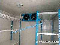 500MT Double Temperature Cold Room