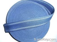 blue woven webbing