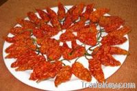 Bhut Jolokia