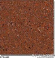 POLISHED TILE