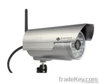 IP Cameras