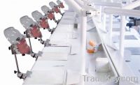 Simple Simulator Manikin Hyginen Dental Models