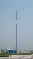 telecommunication monopoles