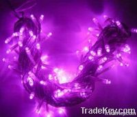 LED String Light
