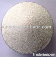 Xylanase Enzyme