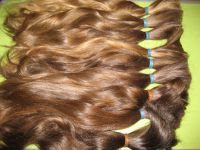 100% natural Europian human hair