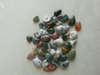 WHOLE SALE Amazing Various Shapes Ocean