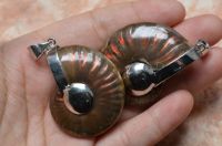 Iridescent Ammonite With Blue Rainbow Pendant